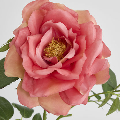 Chelsea Rose Stem 97cm Dark Pink