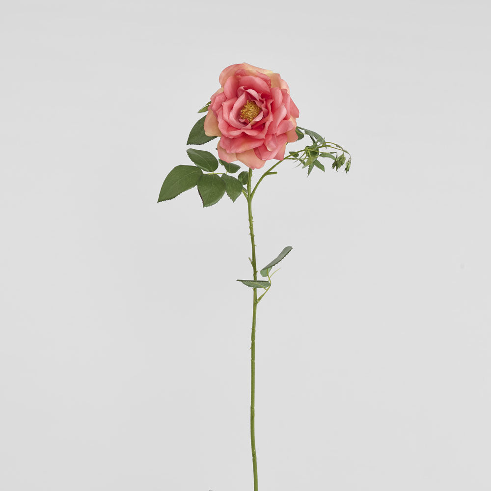 Chelsea Rose Stem 97cm Dark Pink