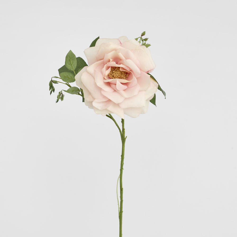 Chelsea Rose Stem 97cm Light Pink