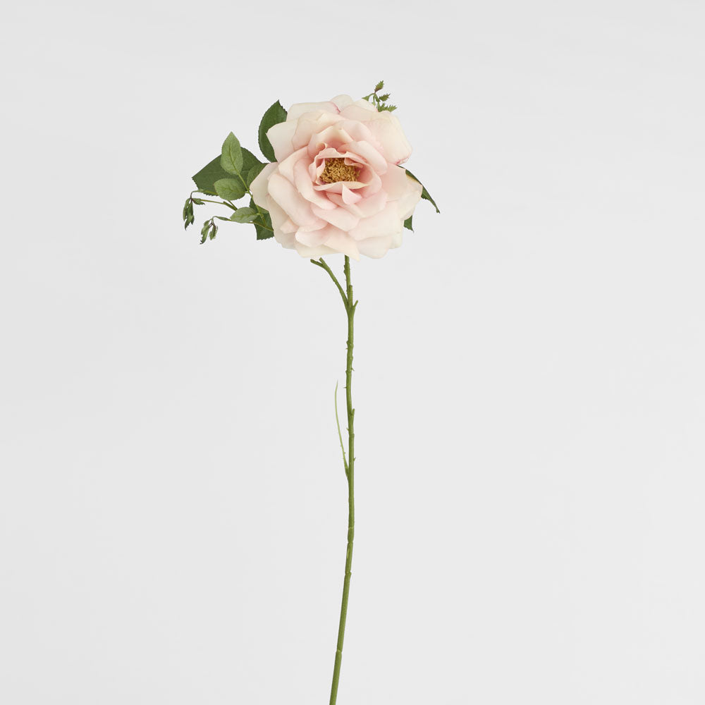 Chelsea Rose Stem 97cm Light Pink