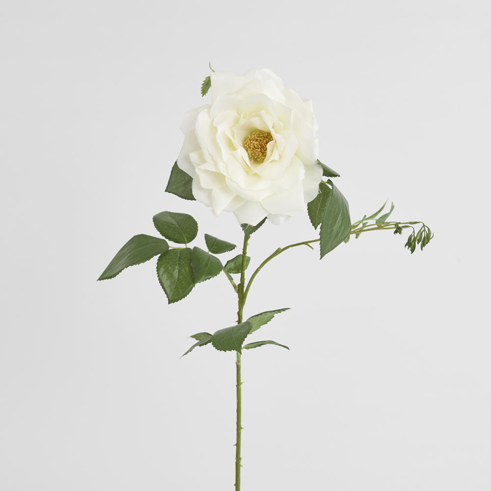Chelsea Rose Stem 97cm White