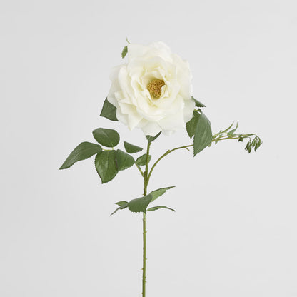 Chelsea Rose Stem 97cm White