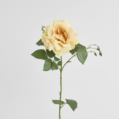 Chelsea Rose Stem 97cm Yellow