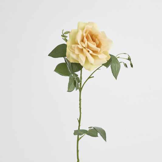 Chelsea Rose Stem 97cm Yellow