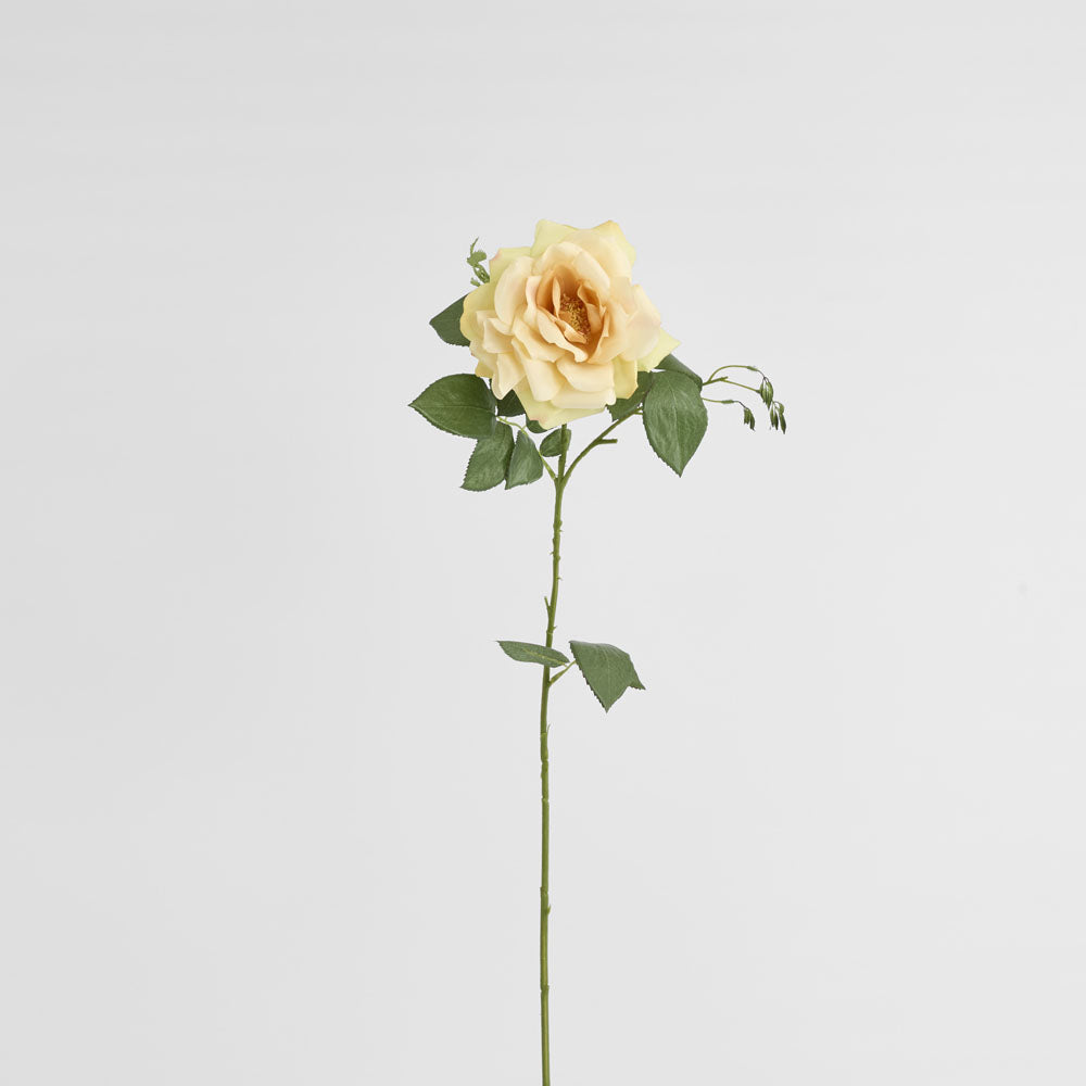 Chelsea Rose Stem 97cm Yellow