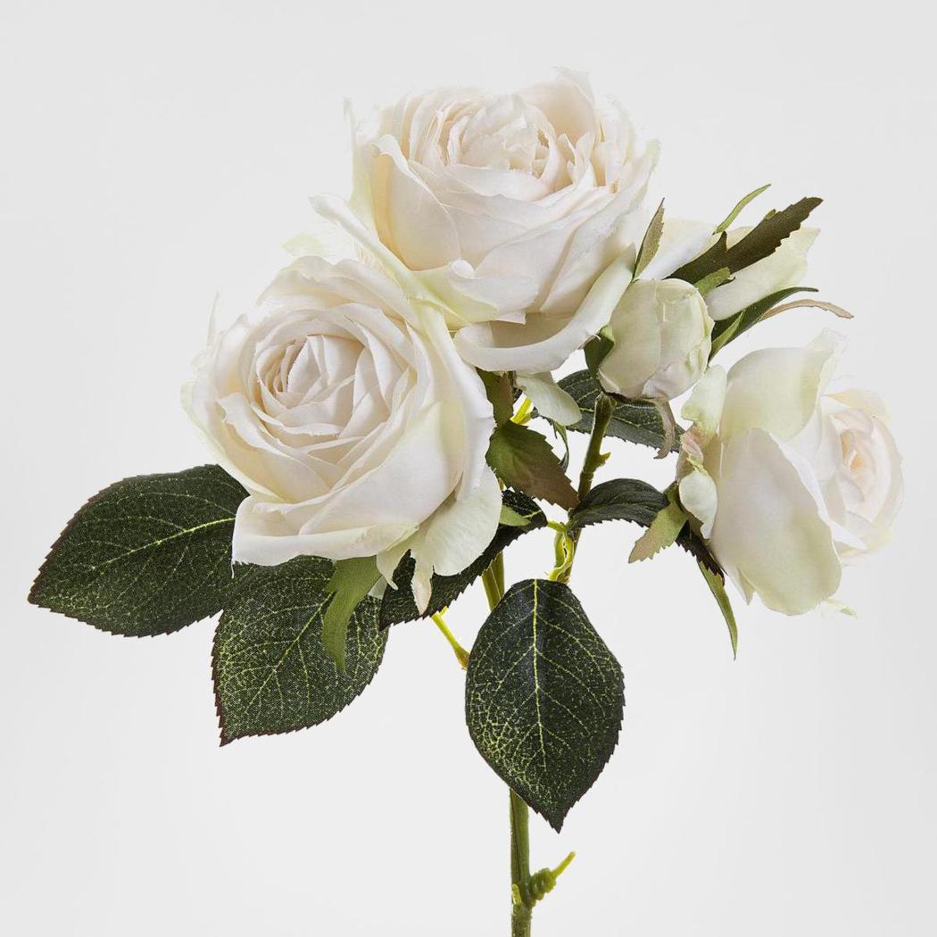 48 Rd Roses Short Stem Rose Short Stem Two Buds 40cm Cream – Florabelle Living