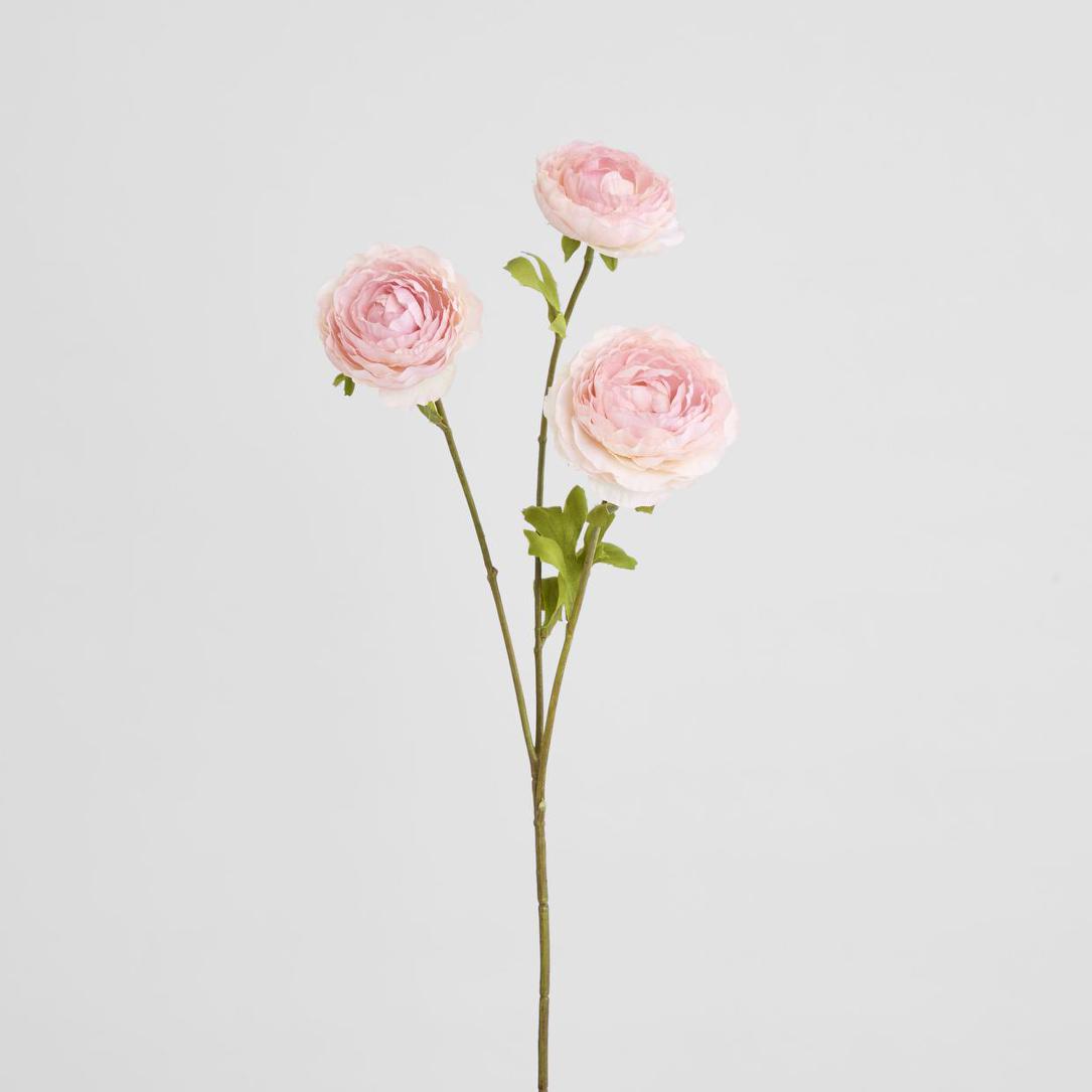 Ranunculus Pink 60cm