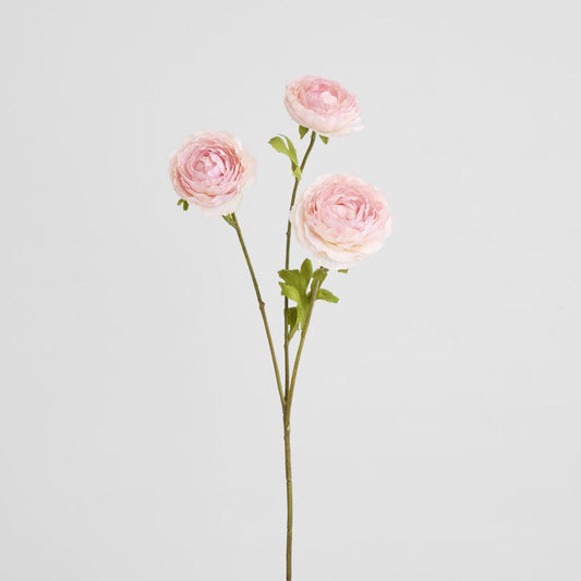 Ranunculus Pink 60cm