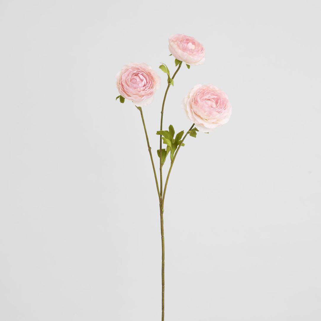 Ranunculus Pink 60cm