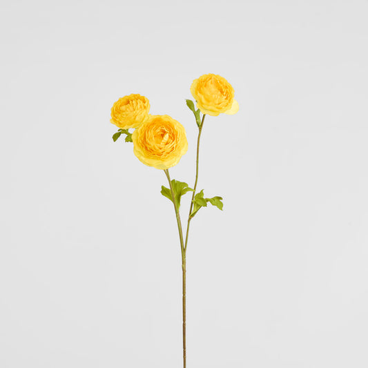 Ranunculus Yellow 60cm