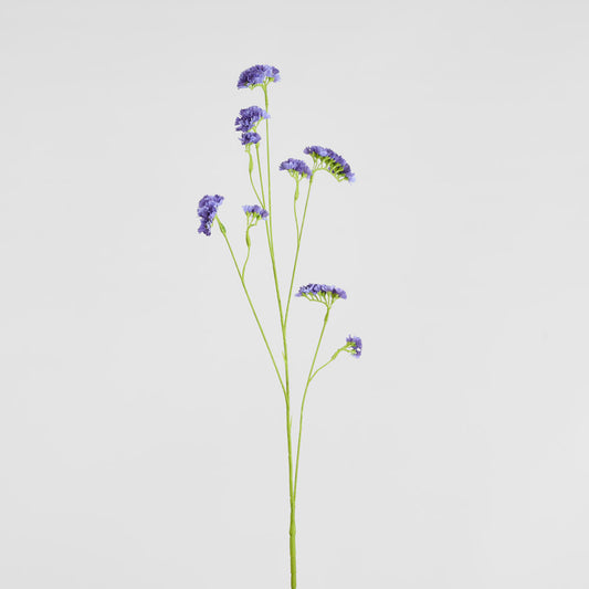 Rosemary Lavender 92cm