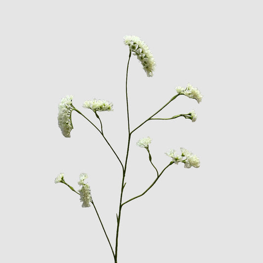 Rosemary White 92cm
