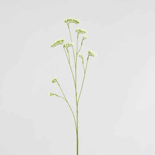 Rosemary White 92cm
