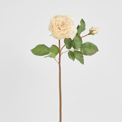 Cabbage Real Touch Rose Stem 49cm Blush
