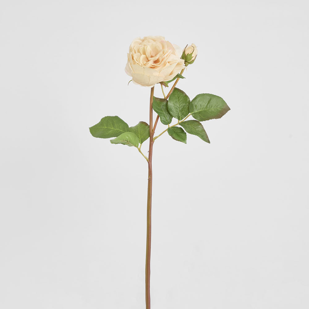 Cabbage Real Touch Rose Stem 49cm Blush