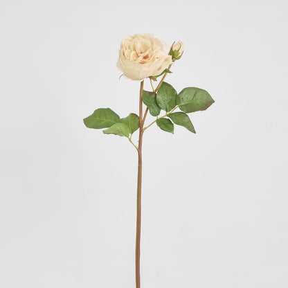 Cabbage Real Touch Rose Stem 49cm Blush