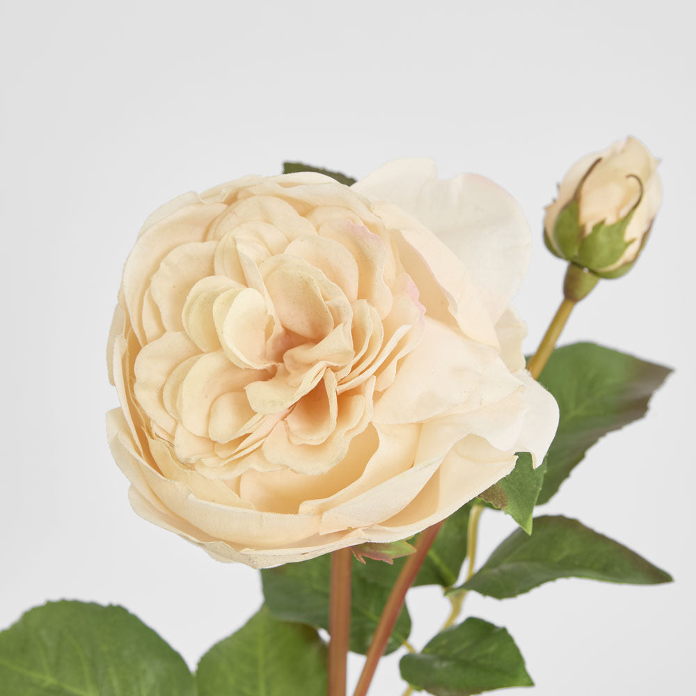 Cabbage Real Touch Rose Stem 49cm Blush