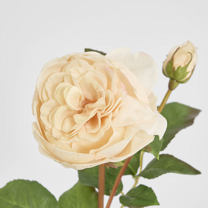 Cabbage Real Touch Rose Stem 49cm Blush