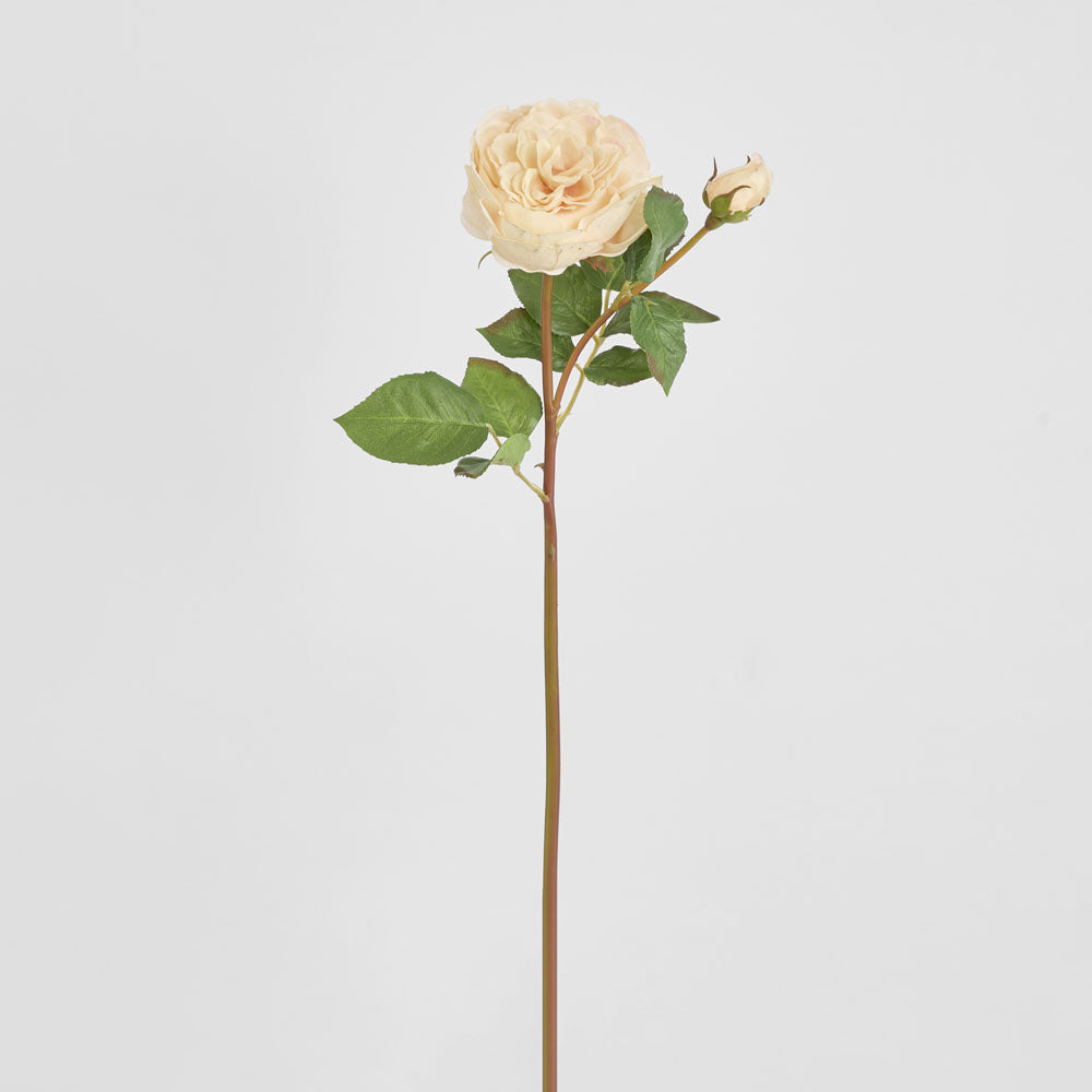 Cabbage Real Touch Rose Stem 49cm Blush
