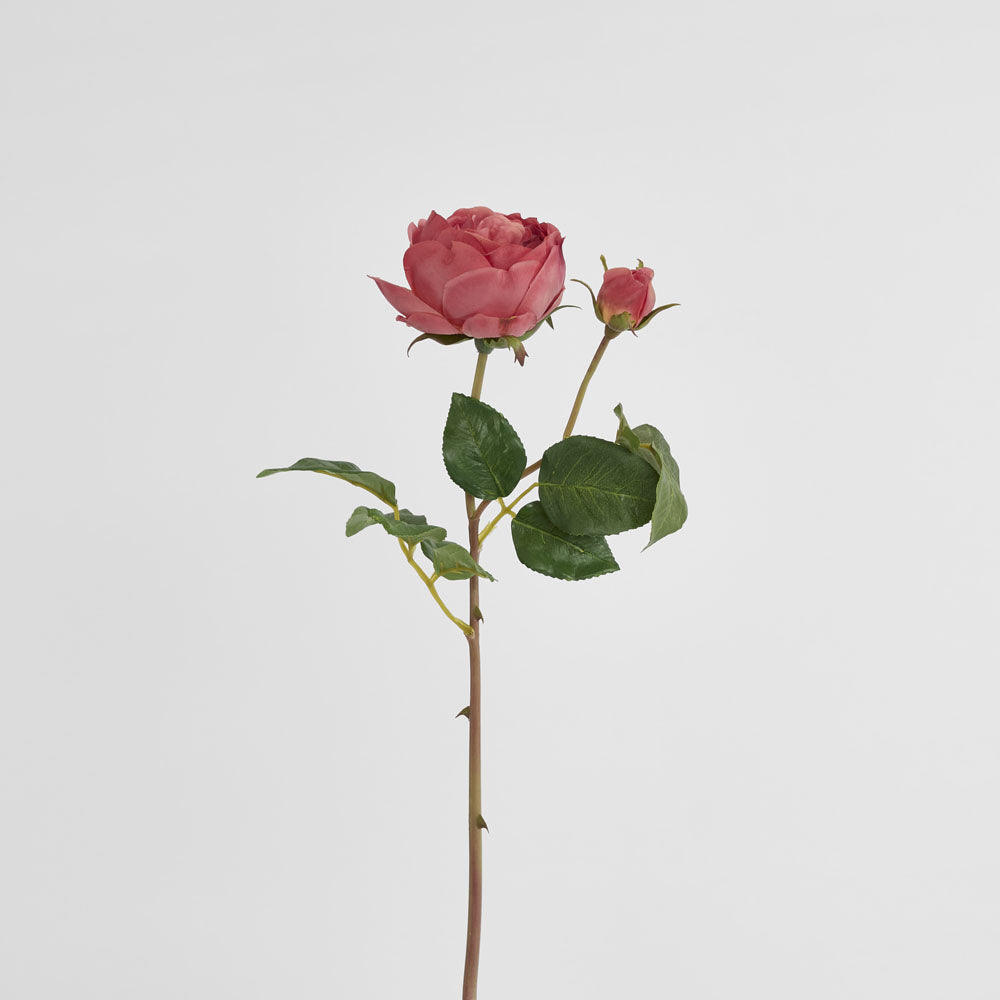 Cabbage Real Touch Rose Stem 49cm Rouge