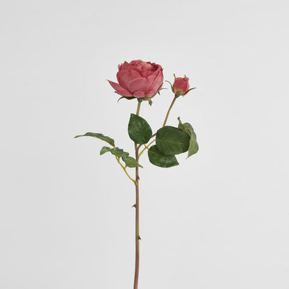 Cabbage Real Touch Rose Stem 49cm Rouge