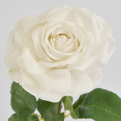 Stella Real Touch Rose Stem 50cm White