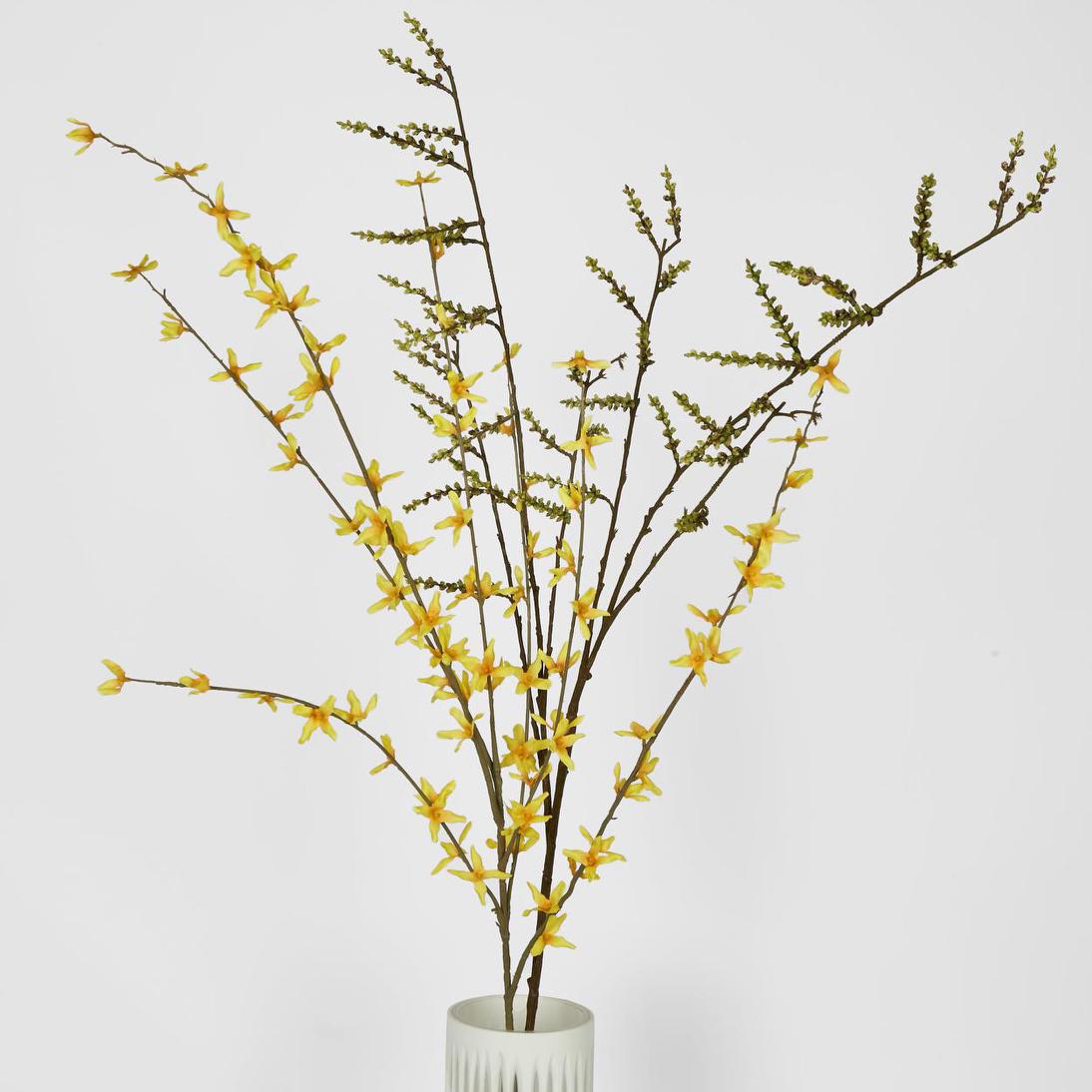 Stachyurus Leaf Spray