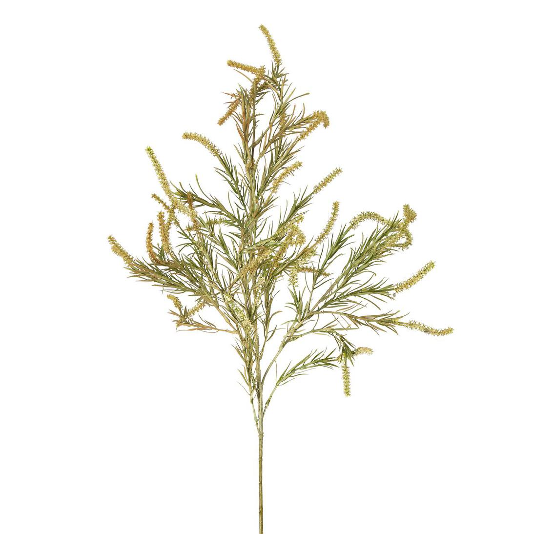 Sage Branch Dusty 92cm Cream
