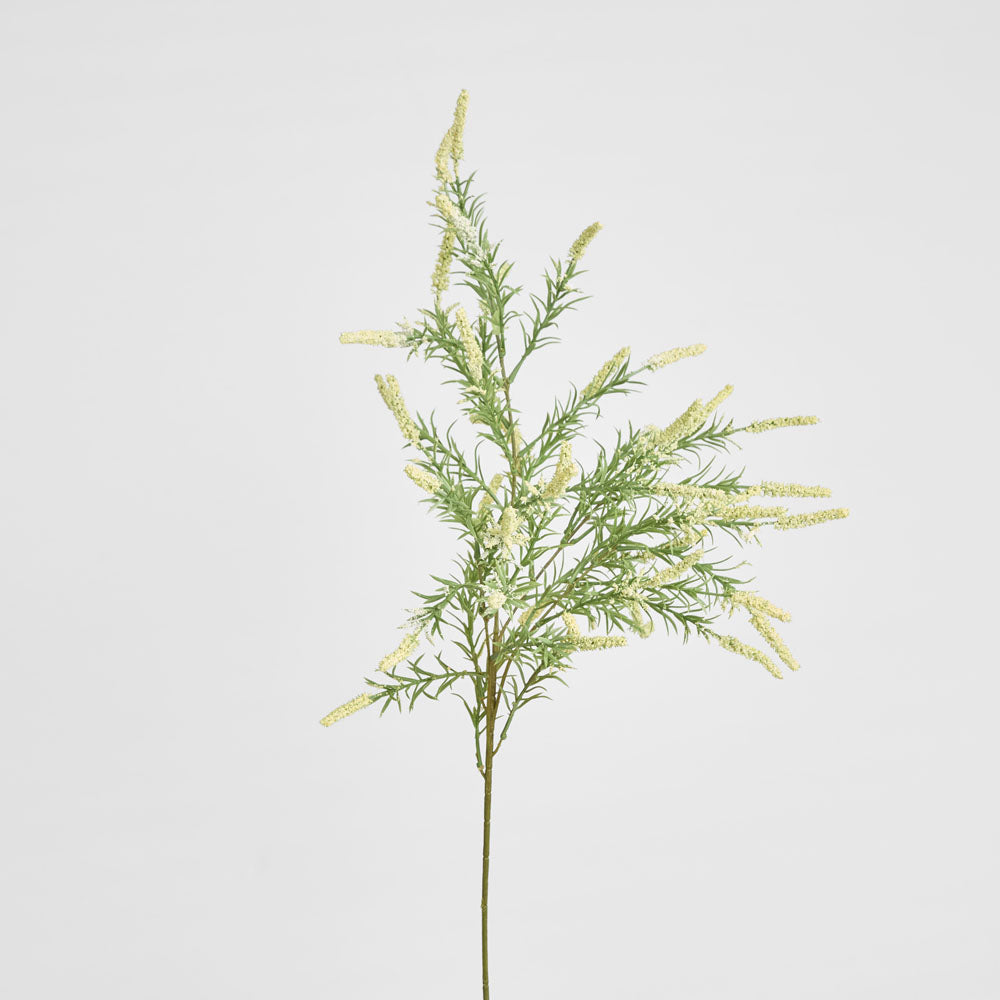 Sage Branch Dusty 92cm Cream