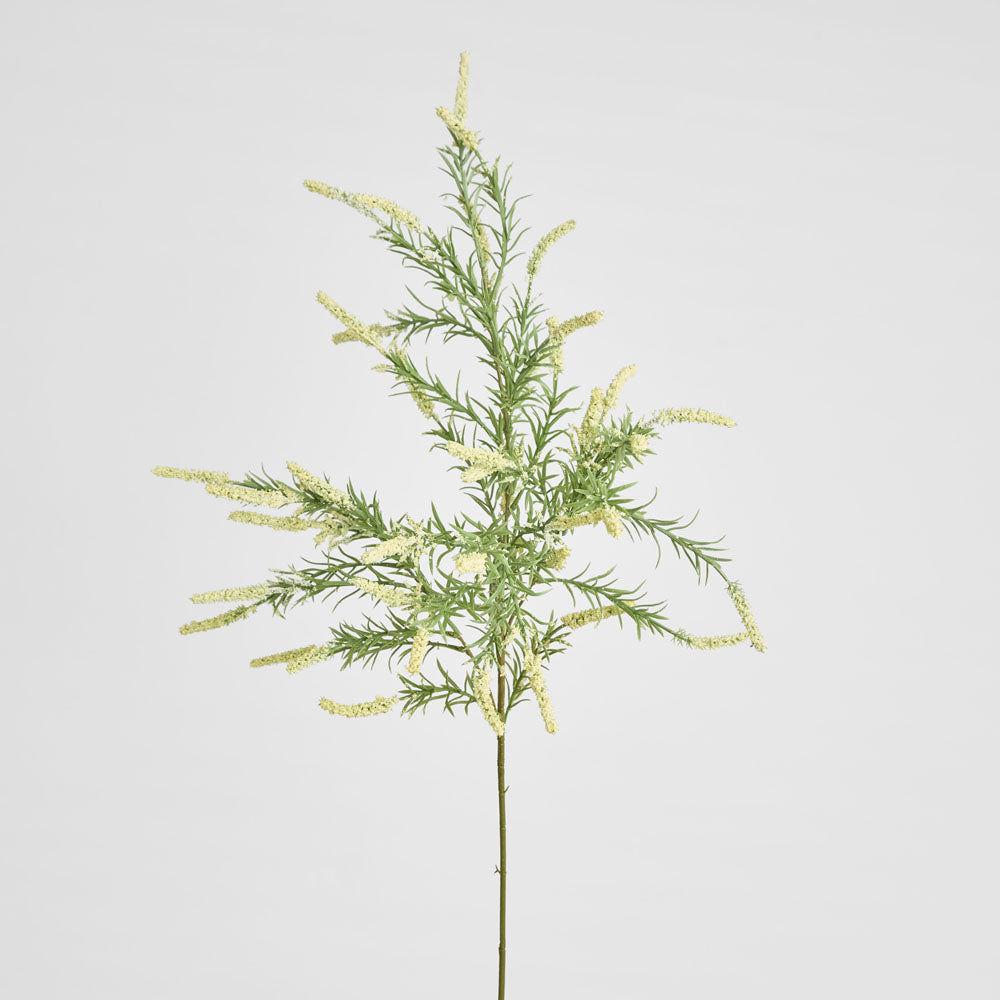 Sage Branch Dusty 92cm Cream
