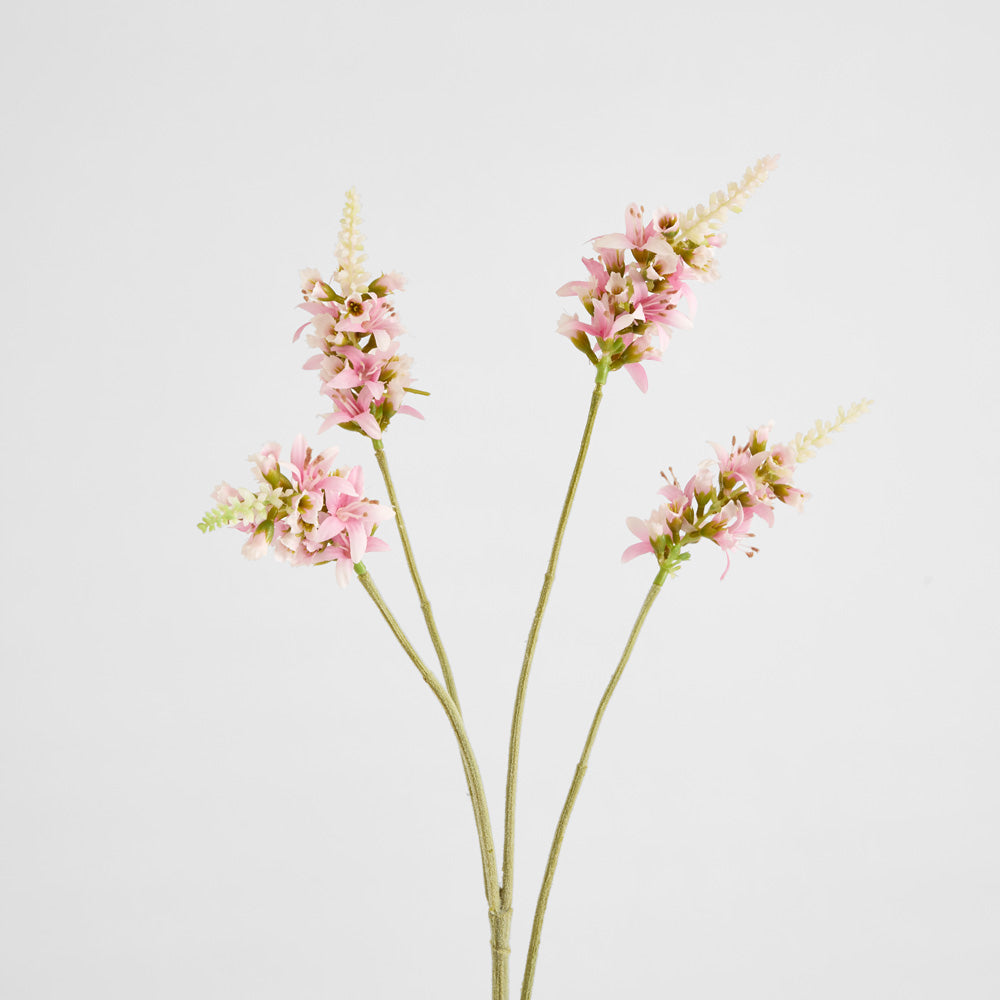 Salvia Nutans Sage Spray 84cm Pink