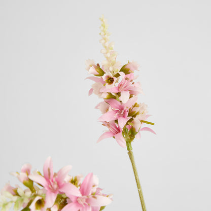 Salvia Nutans Sage Spray 84cm Pink
