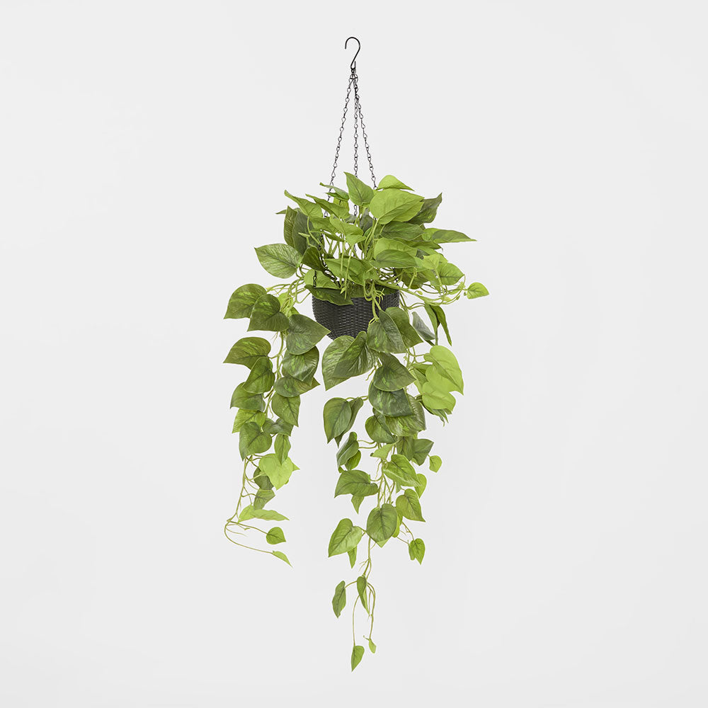 Potted Hanging Real Touch Scindapsus Bush 83cm