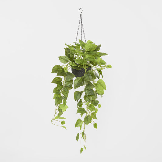 Potted Hanging Real Touch Scindapsus Bush 83cm