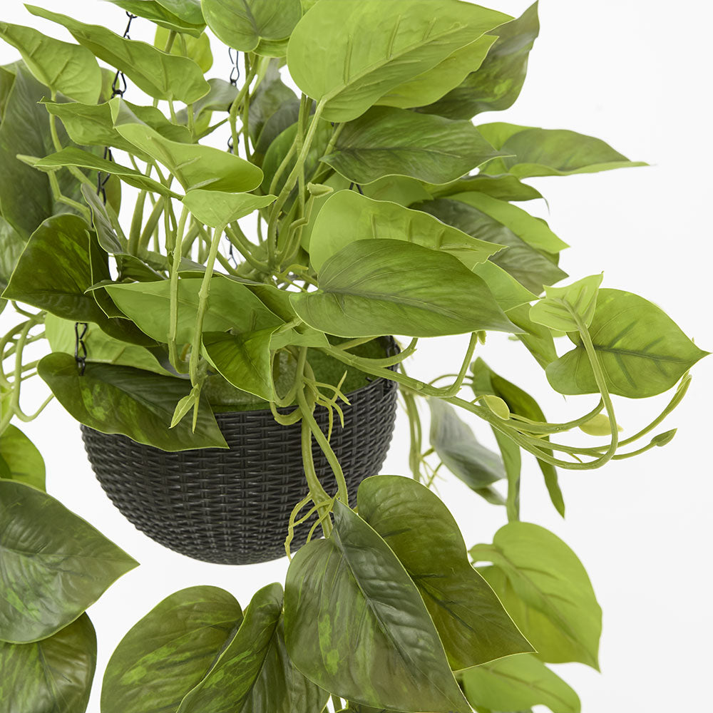 Potted Hanging Real Touch Scindapsus Bush 83cm
