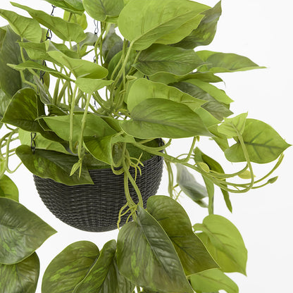 Potted Hanging Real Touch Scindapsus Bush 83cm