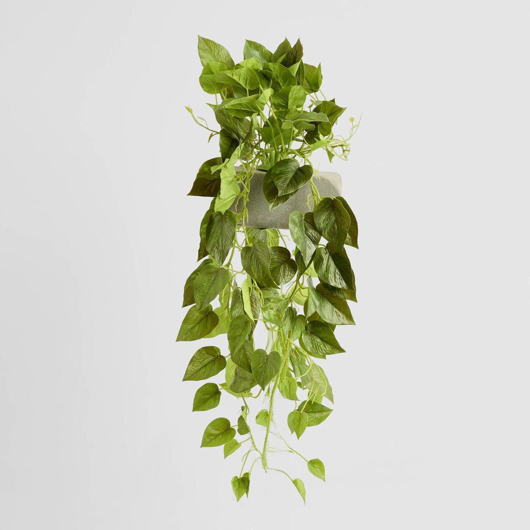 Potted Hanging Real Touch Scindapsus Bush 83cm
