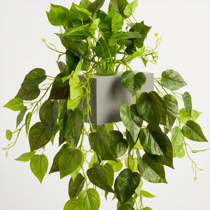 Potted Hanging Real Touch Scindapsus Bush 83cm