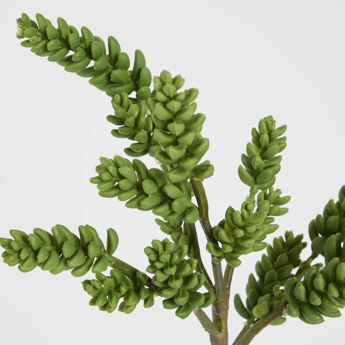 Succulent 37cm