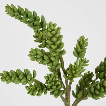 Succulent 37cm