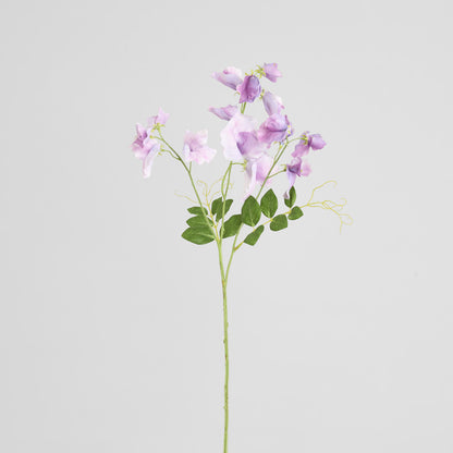Sweetpea Spray 70cm Lavender