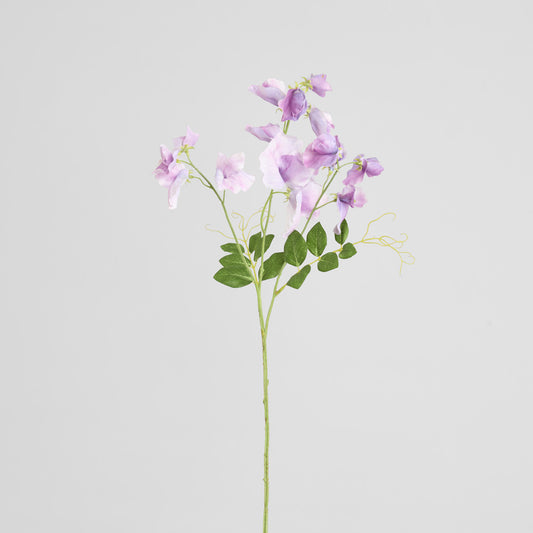 Sweetpea Spray 70cm Lavender