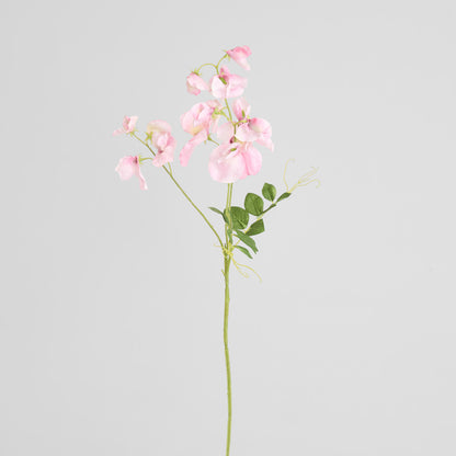 Sweetpea Spray 70cm Pink