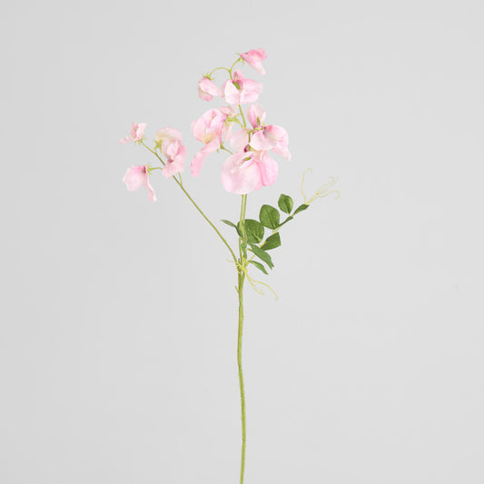 Sweetpea Spray 70cm Pink