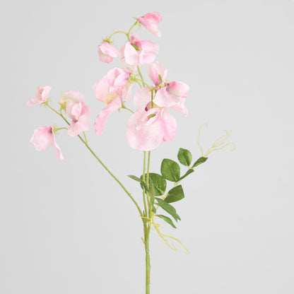 Sweetpea Spray 70cm Pink