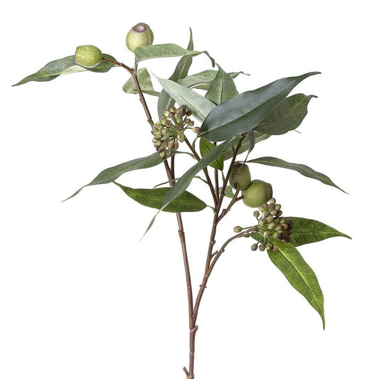 Gumnut Eucalyptus berry Seed Spray 75cm Green