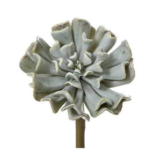 Wavy Succulent 20cm Grey