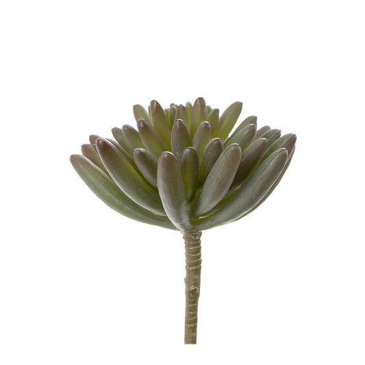 Succulent Spray Burgundy