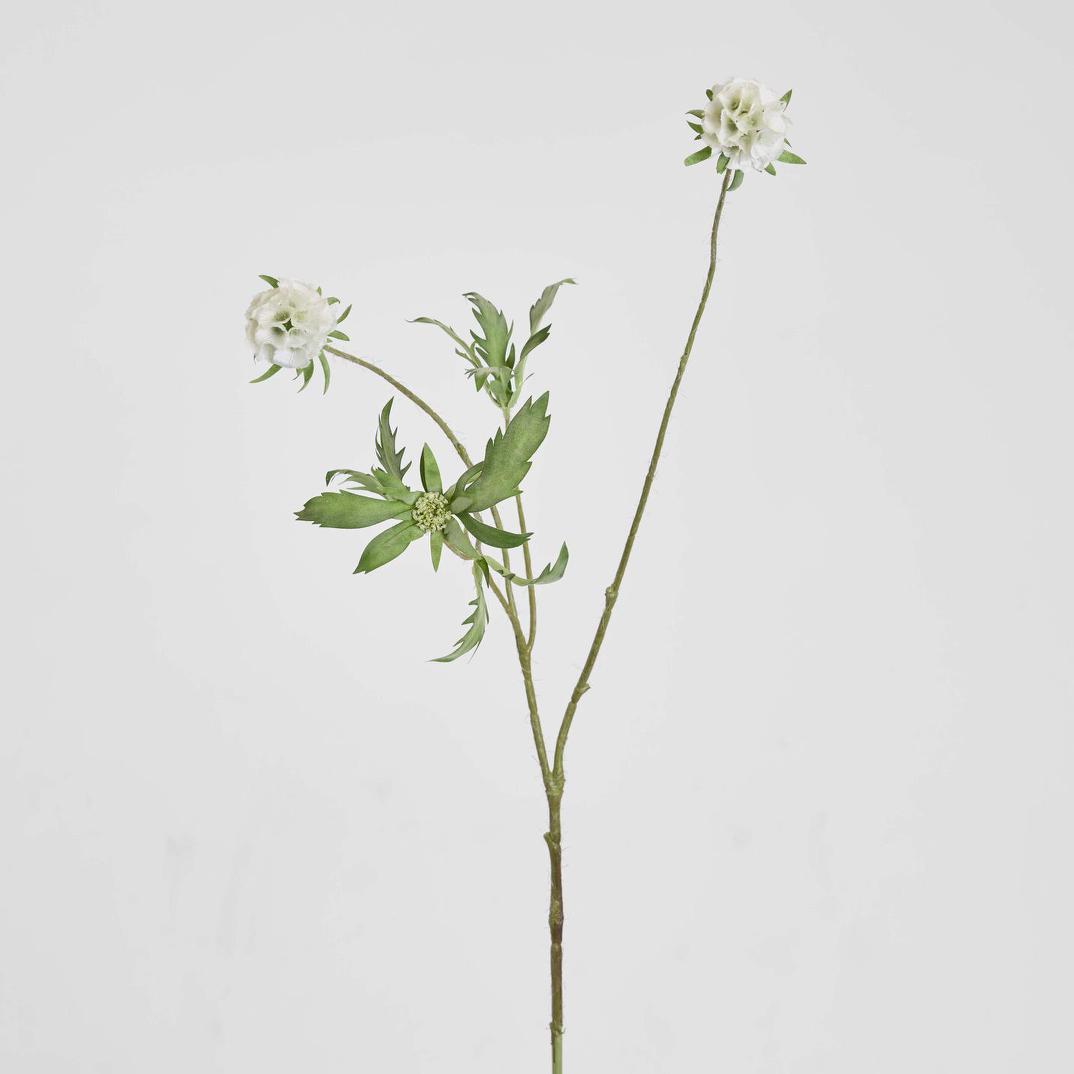 Scabiosa Spray 94cm