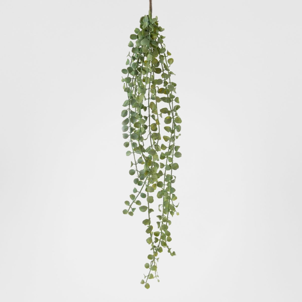 Succulent Hanging Vine 85cm